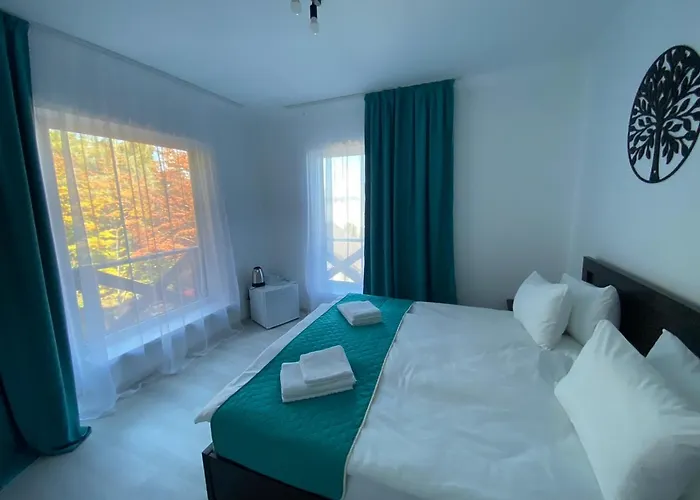 Dacha на магурі