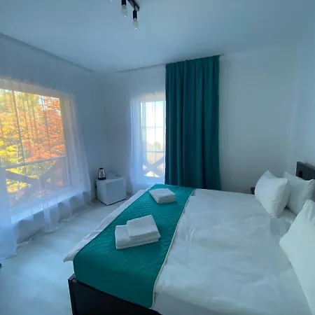 Dacha на магурі