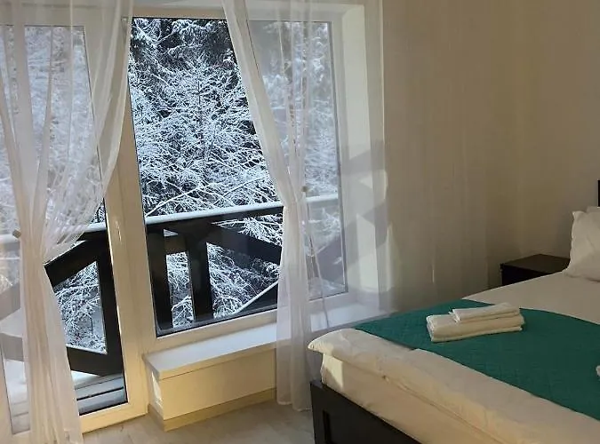 Dacha на магурі Pilipets